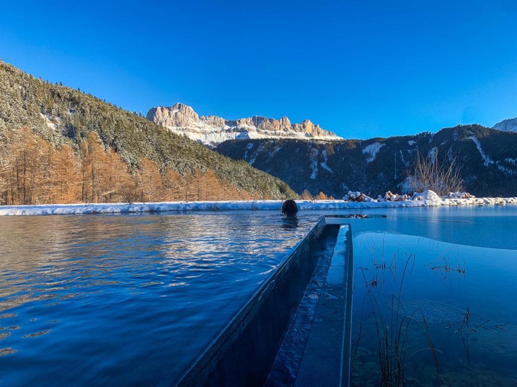 Ansitz Velseck-Residence Hotel Тирес Экстерьер фото